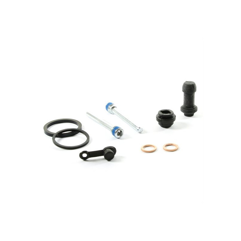 kit revisione pinza freno posteriore Suzuki Rm 250