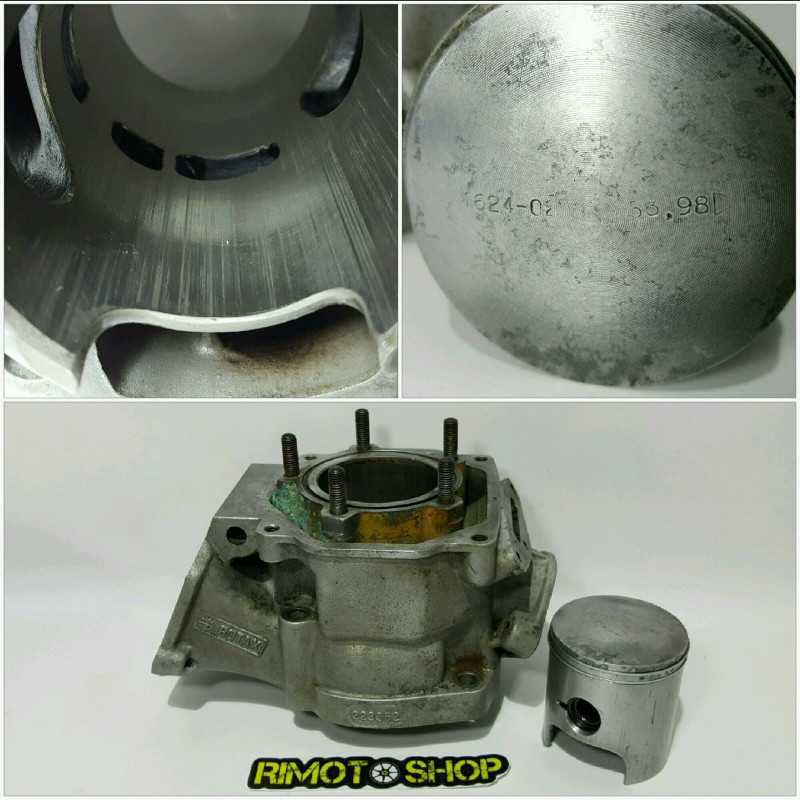 AF1 futura RX125 ROTAX 123 cilindro & pistone gilardoni piston AF1 futura RX125 ROTAX 123 cilindro & pistone gilardoni piston