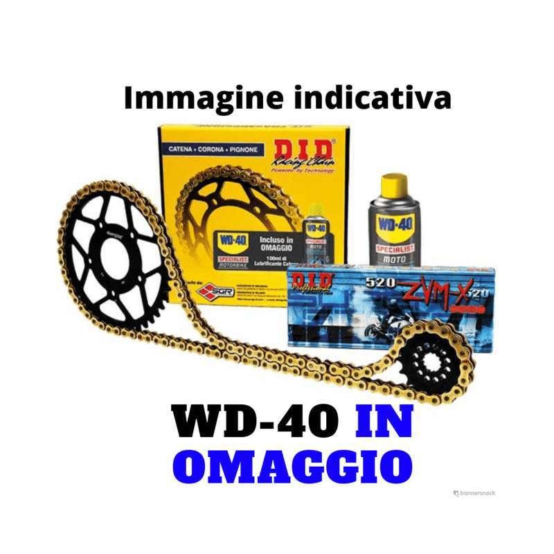 Kit Corona Pignone Catena 530VX SUZUKI 600 GSF Bandit S Kit Corona Pignone Catena 530VX SUZUKI 600 GSF Bandit S