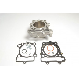 Cilindro e guarnizioni per SUZUKI RM-Z 250 10-18-EC510-019-RiMotoShop