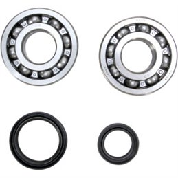 Main bearings and oil seals SUZUKI RM250 00-02 Prox