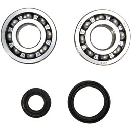 Main bearings and oil seals SUZUKI RM250 94-95 Prox