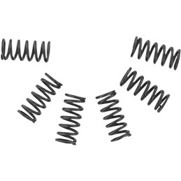 Set molle frizione CSK YAMAHA YZ 250 H (2T) 81 Ebc clutch