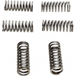 Set molle frizione CSK HONDA CRF 450 R (6 Spring Type) 17-18 Ebc clutch