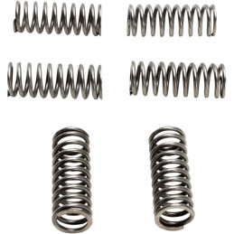 Ressorts d’embrayage pour HONDA CRF 450 R (6 Spring Type) 17-18