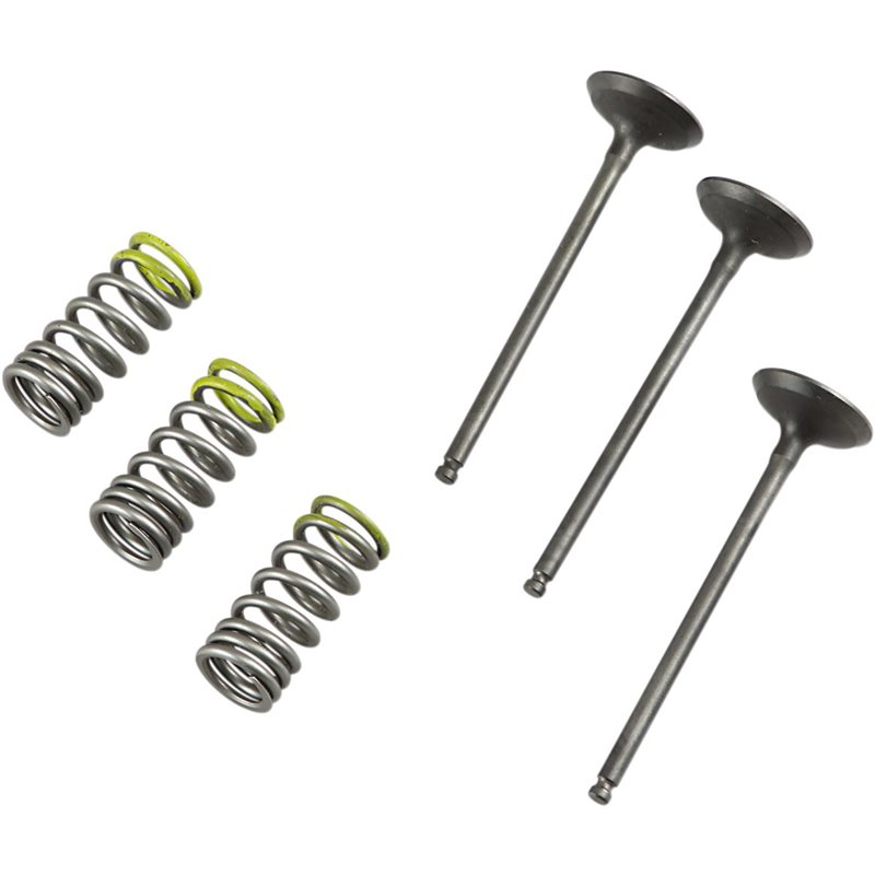 Kit valvole e molle testata GAS GAS EC300F 13-15 Lato Kit valvole e molle testata GAS GAS EC300F 13-15 Lato
