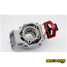 Aprilia RX SX MX ROTAX 122 pneumatic Rave valve italkit