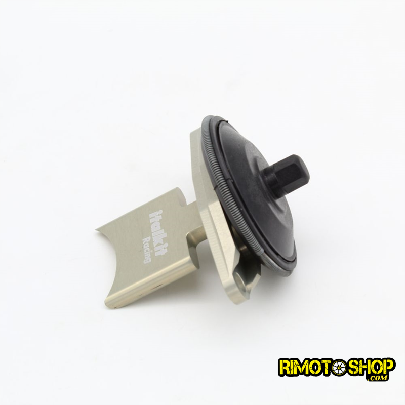 Aprilia Rs125 ROTAX 122-123 Valve for rave italkit-VE.01.125-RiMotoShop