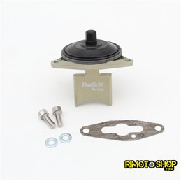 Aprilia Rs125 ROTAX 122-123 Valve for rave italkit-VE.01.125-RiMotoShop