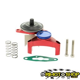 Valve Rave pneumatique Aprilia RX SX MX ROTAX 122 italkit complète-VER.01.125-RiMotoShop