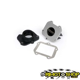 Kit laminas y colector de admision APRILIA RS 125 Rotax122-123 año 1996-2015