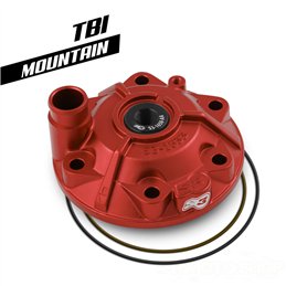 GASGAS EC TBI 250 2024 Testata motore scomponibile S3 Enduro