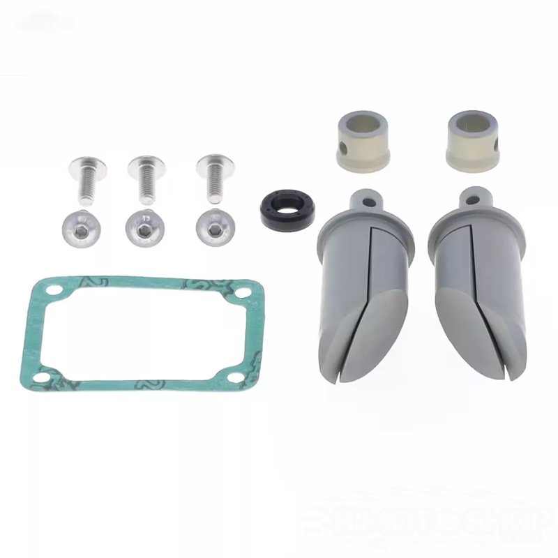 APRILIA RS 250 coppia valvole scarico motore X2 CNC RACING-P400010303001-RiMotoShop APRILIA RS 250 coppia valvole scarico motore X2 CNC RACING-P400010303001-RiMotoShop