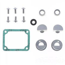 APRILIA RS 250 coppia valvole scarico motore X2 CNC RACING-P400010303001-RiMotoShop