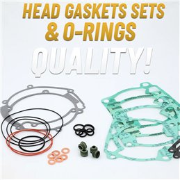 Guarnizioni Centauro KTM 250 EXC 1999-2003 smeriglio