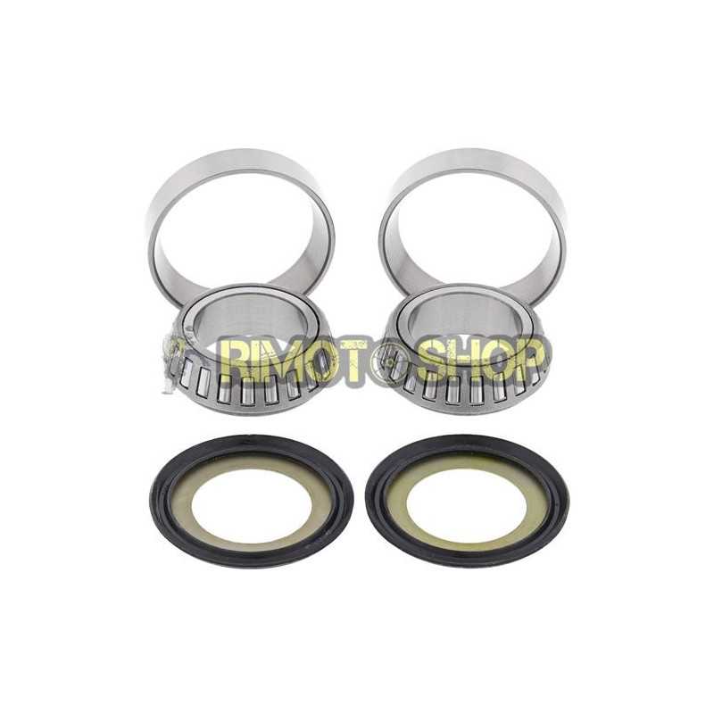 TM EN/MX 250 02-11 Kit revisione cuscinetti di