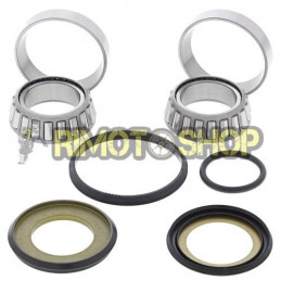 Beta RR 498 12-14 Kit revisione cuscinetti di