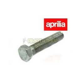 VITE M5x25 APRILIA RS 125 06-10-AP0241770-RiMotoShop