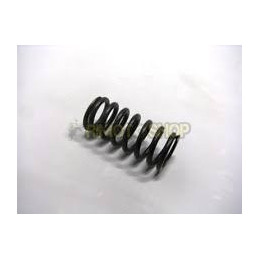 CLUTCH SPRING APRILIA RS 250