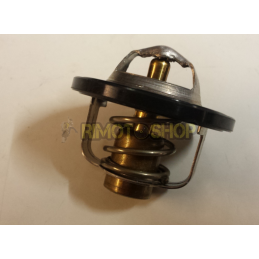 THERMOSTAT APRILIA RS 250