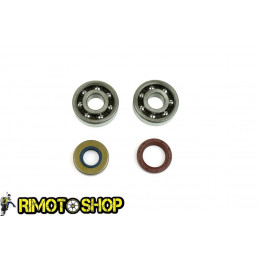 Kit cuscinetti paraoli Albero motore APRILIA AF1 50 1986-1990