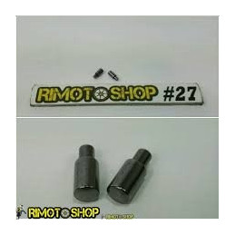 SUZUKI RMZ250 PIN SHIFT sélecteur PAWL CLICK-CA1-5452.9P--Suzuki