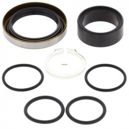 KIT REVISIONE ALBERO PIGNONE KTM 250 SX 17-WY-25-4001-WRP