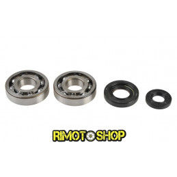 KIT Paraolio e cuscinetti di banco YAMAHA YZ 250 01-18