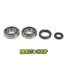 KIT Paraolio e cuscinetti di banco YAMAHA YZ 250 88-98