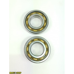 HM125 ROTAX122 Motor shaft BEARINGS-ALB-SKF-2-SKF