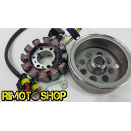 07 09 HUSQVARNA SMs TE 250 450 510 Générateur De Volant rotor