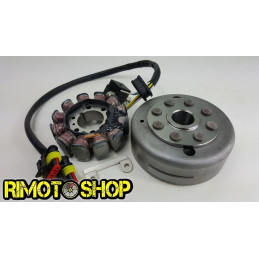 07 09 HUSQVARNA SMs TE 250 450 510 Générateur De Volant rotor