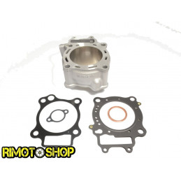 Cylinder and gaskets for...