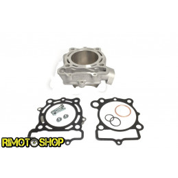 Cilindro e guarnizioni per KAWASAKI KX 250 F 09-10-EC250-012-RiMotoShop