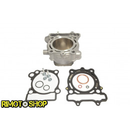 Cilindro e guarnizioni per SUZUKI RM-Z 250 10-18-EC510-019-RiMotoShop