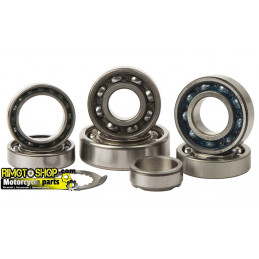 Trasmission bearing kit YAMAHA YZ 250F 2014-2016-TBK0105-RiMotoShop