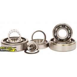 Trasmission bearing kit KAWASAKI KX 250 1993-TBK0028-RiMotoShop