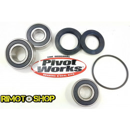 Kit cuscinetti e paraoli ruota posteriore KAWASAKI Z 750S