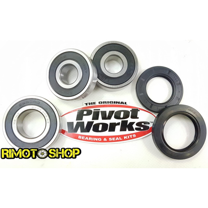 Kit cuscinetti e paraoli ruota posteriore KAWASAKI NINJA 600R Kit cuscinetti e paraoli ruota posteriore KAWASAKI NINJA 600R