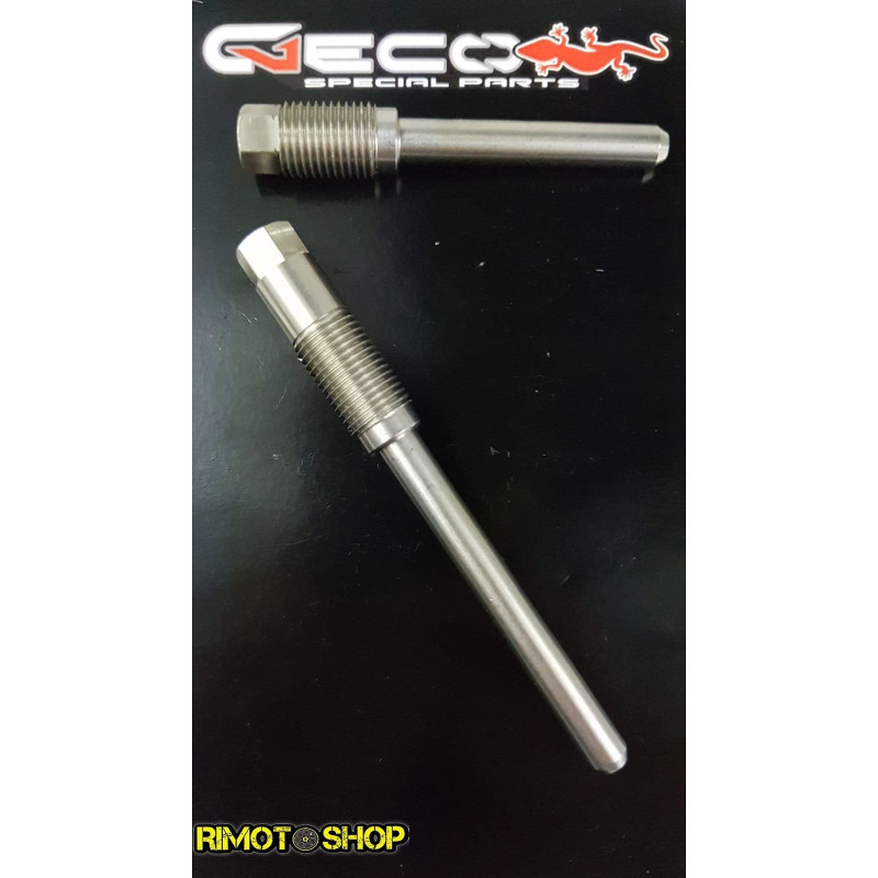 Kit perni pastiglie freno Beta RR 300 2012/2018-750.013.000-RiMotoShop Kit perni pastiglie freno Beta RR 300 2012/2018-750.013.000-RiMotoShop
