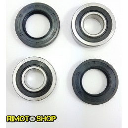 Kit cuscinetti e paraoli ruota anteriore HONDA CBR 600F4I