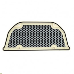 Air filter Kawasaki 1000 ZX10 Tomcat Ninja 88-90-K2179-RiMotoShop