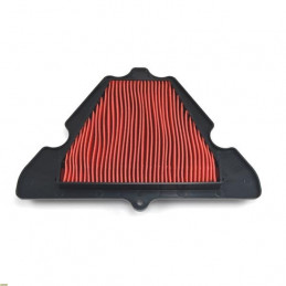 Air filter Kawasaki 1000 Z SX 11-13-K2189-RiMotoShop