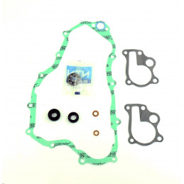 Water Pump Gasket Kit Honda...