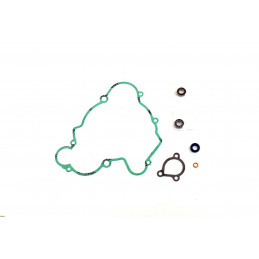 Water Pump Gasket Kit Ktm...