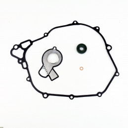 Kit guarnizioni pompa acqua husqvarna FS 450 Ktm engine