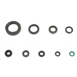 Engine oil seal kit Honda...