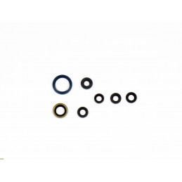 Engine oil seal kit...