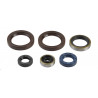 Kit paraolio motore Ktm EXC 125 1998-2016-P400270400015-ATHENA