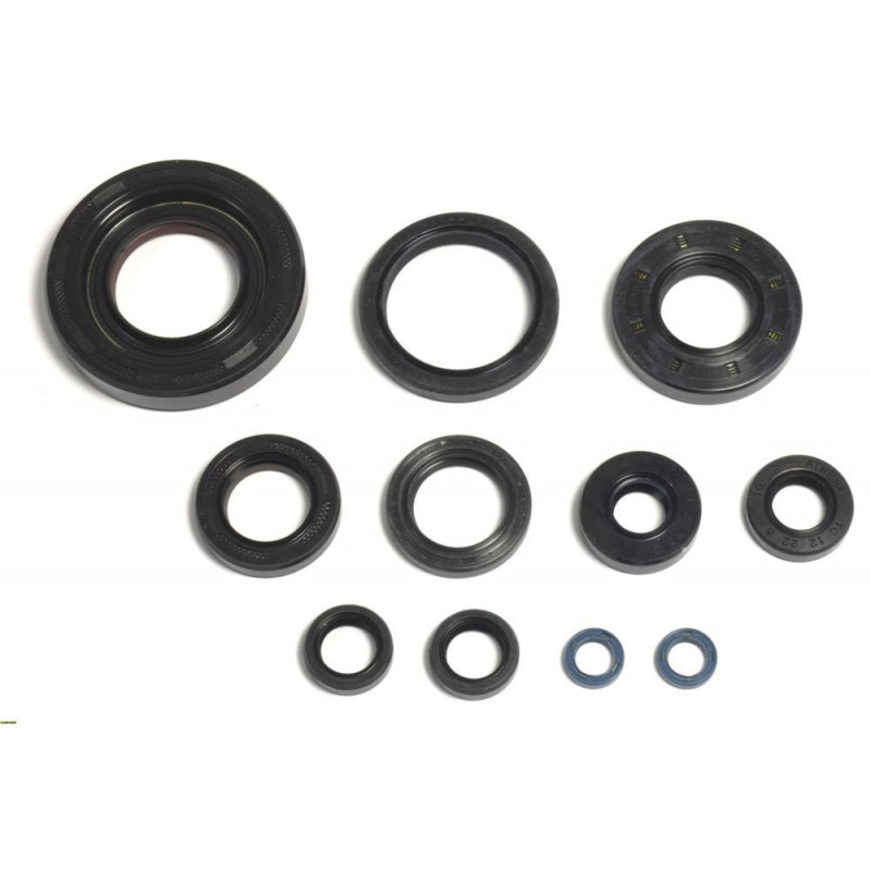 Oil Seal Kit For 1988 ATK 250 Offroad Motorcycle Winderosa 822120 